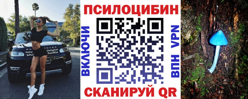 где купить   Пионерский  Галлюциногенные грибы Psilocybine cubensis 